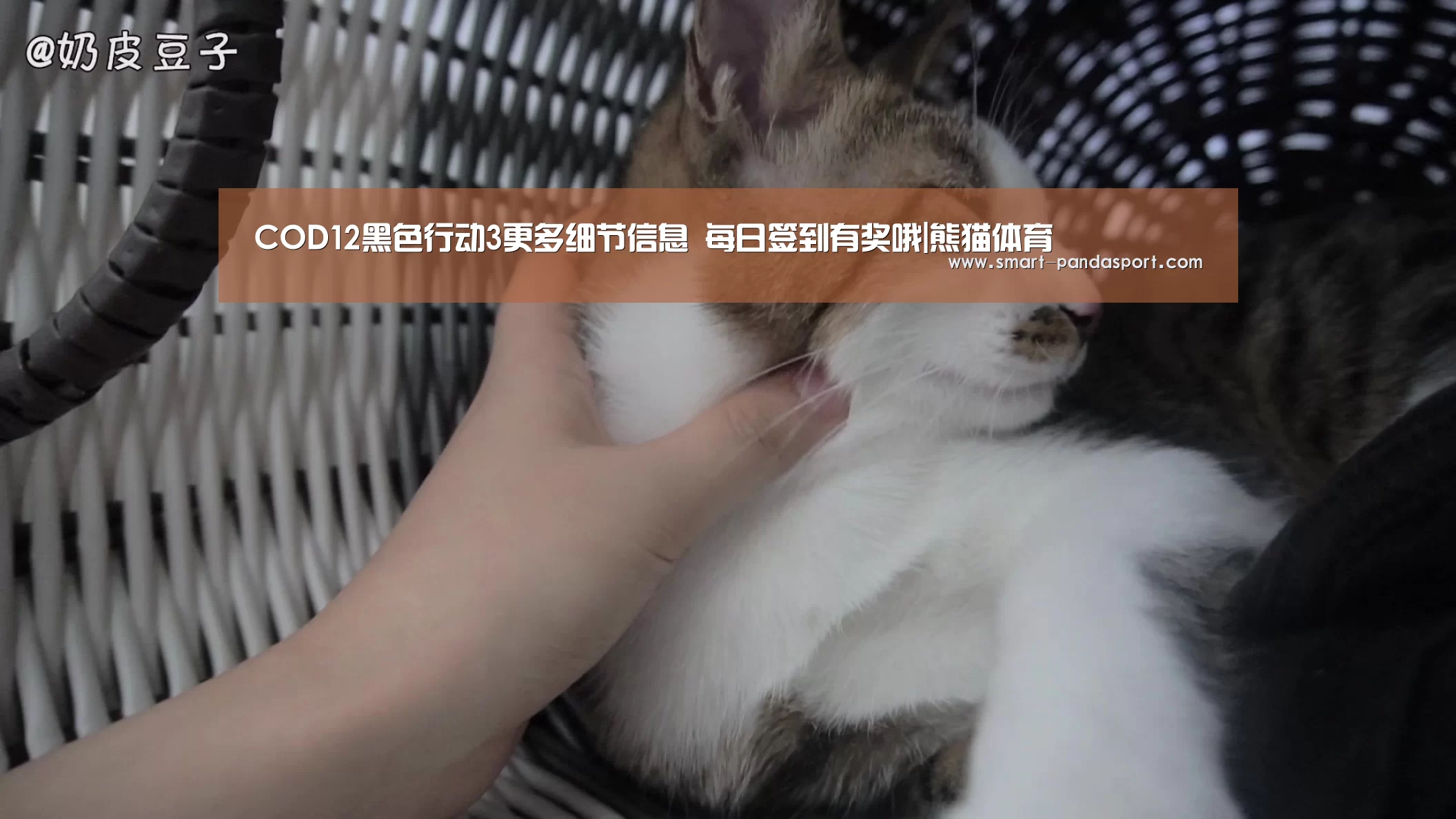 COD12黑色行动3更多细节信息 每日签到有奖哦|熊猫体育(图2) 熊猫入口